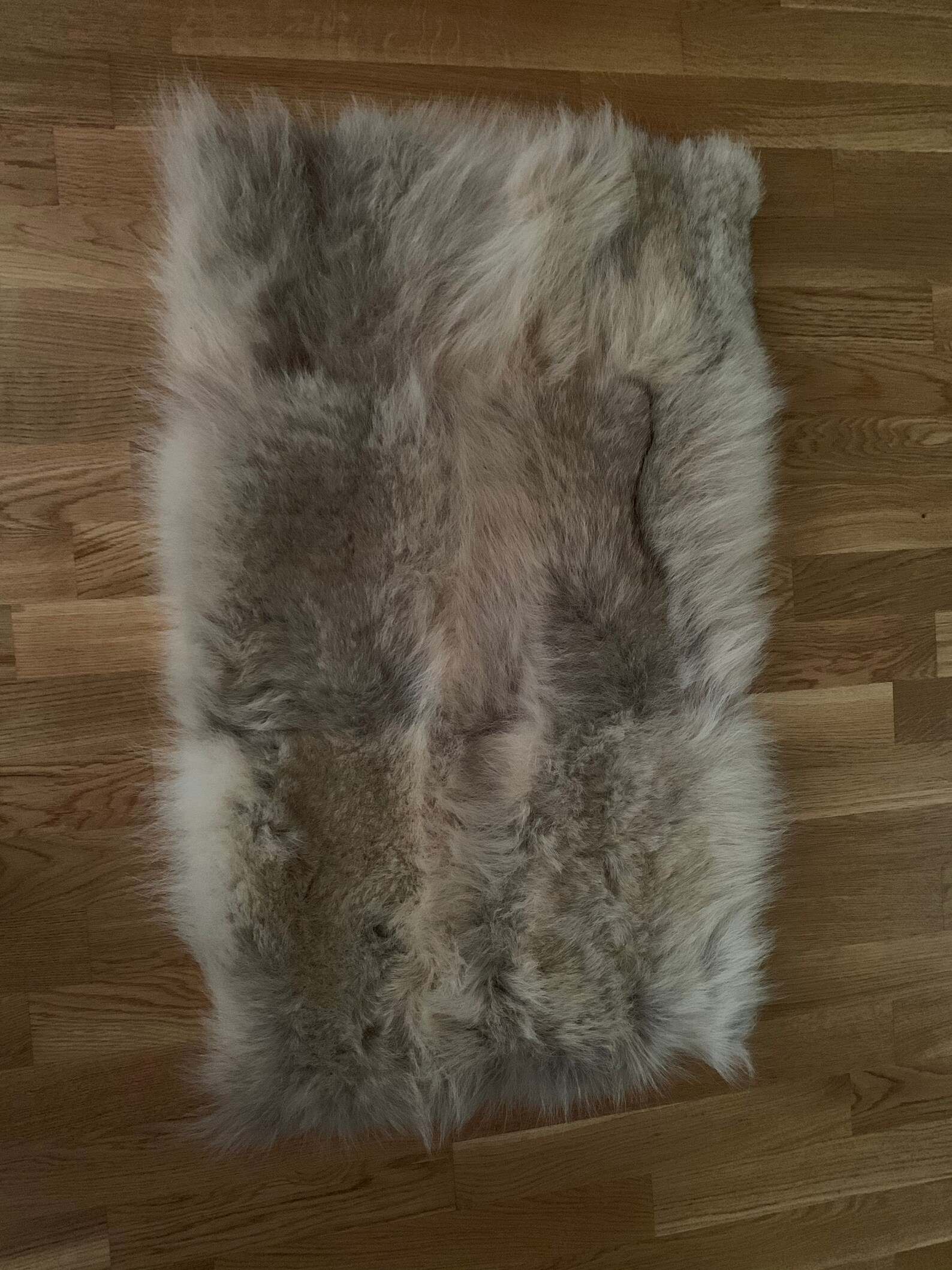 Fur Rug / Real Fur Rug / North Caucasian Wolf Fur Rug / Home Etsy