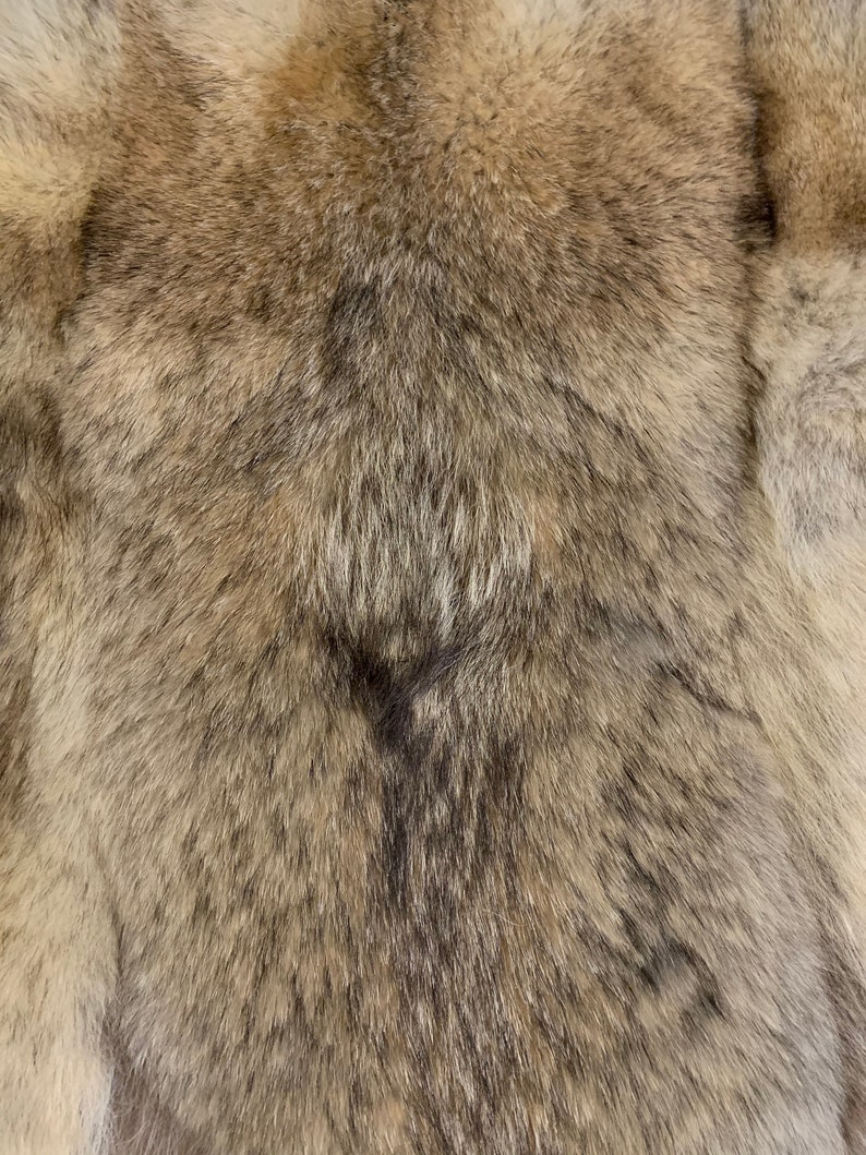 Fur Rug / Real Fur Rug / North Caucasian Wolf Fur Rug / Home Etsy