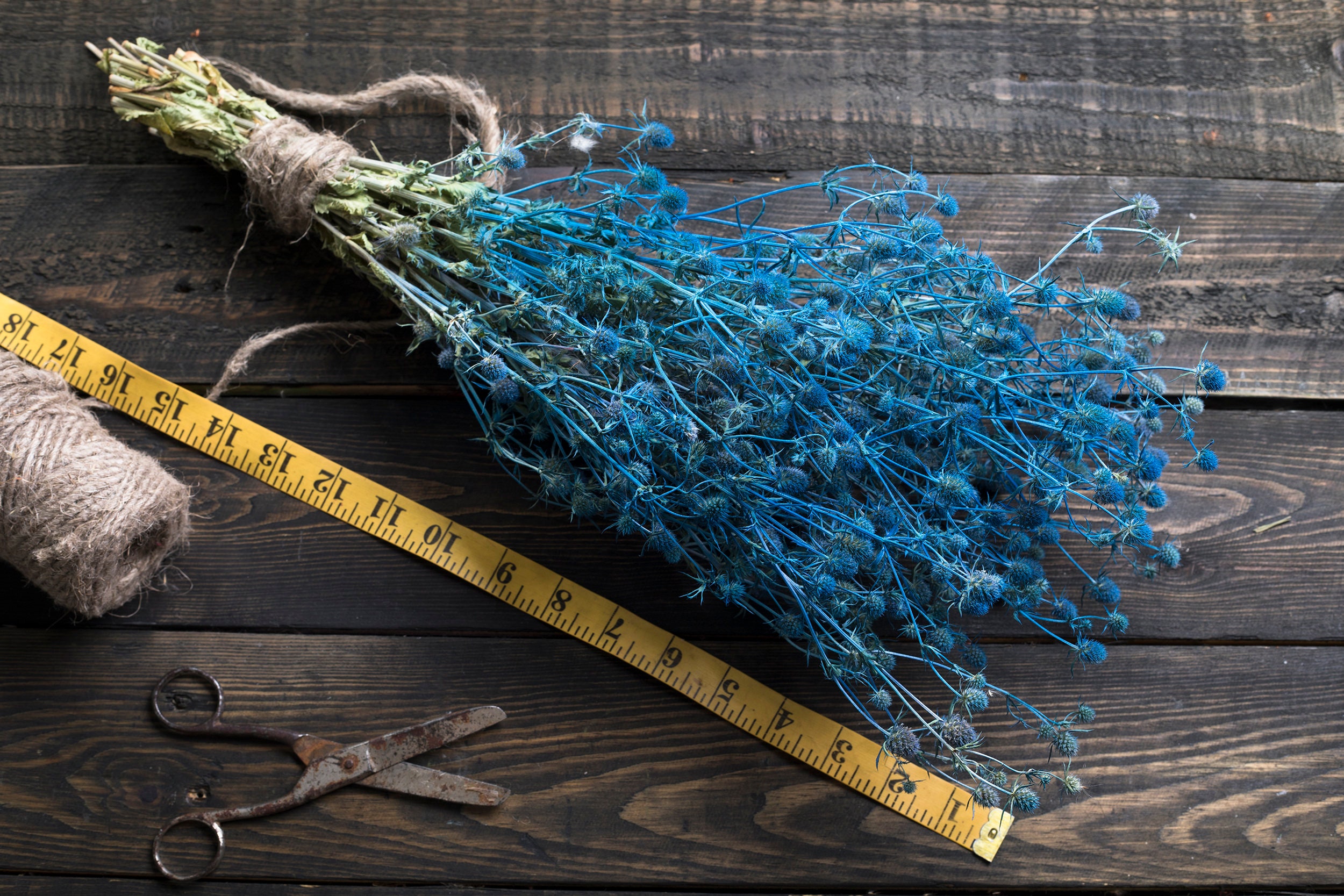 Dried blue eryngium flowers dry flower bouquet Woodland Etsy