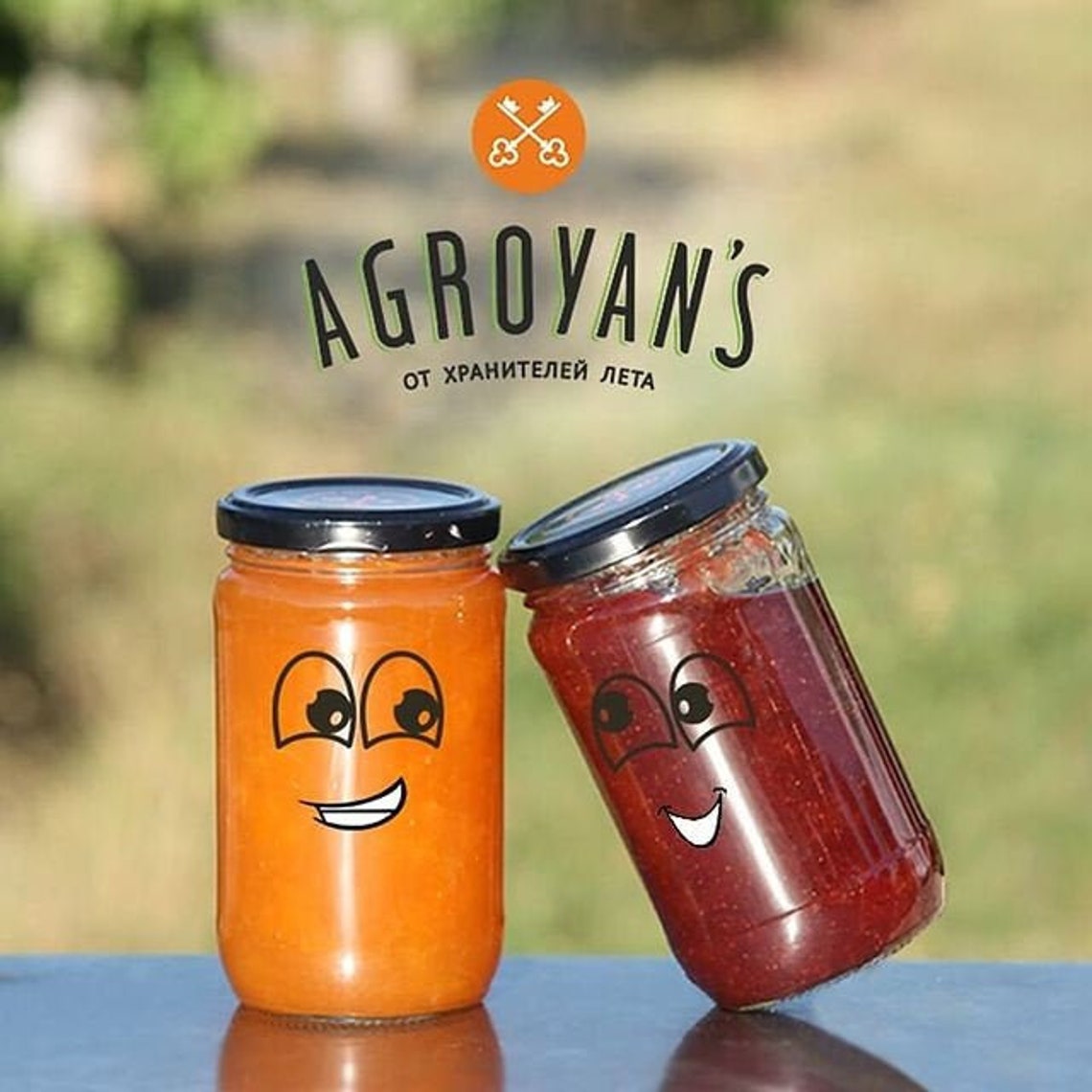 Best deal 9 jars of Jam & Preserve 9 flavors Free Etsy