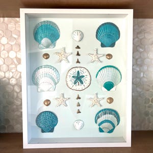 May include: A framed coastal art piece featuring various seashells, starfish, and sand dollars in shades of teal, white, and gold. The arrangement includes scallop shells, starfish, and a sand dollar with a teal design, all set against a light blue background.