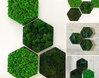 Choose your Set of moss art of preserved moss wall hexagons; pole moss Scandinavian moss art plants
