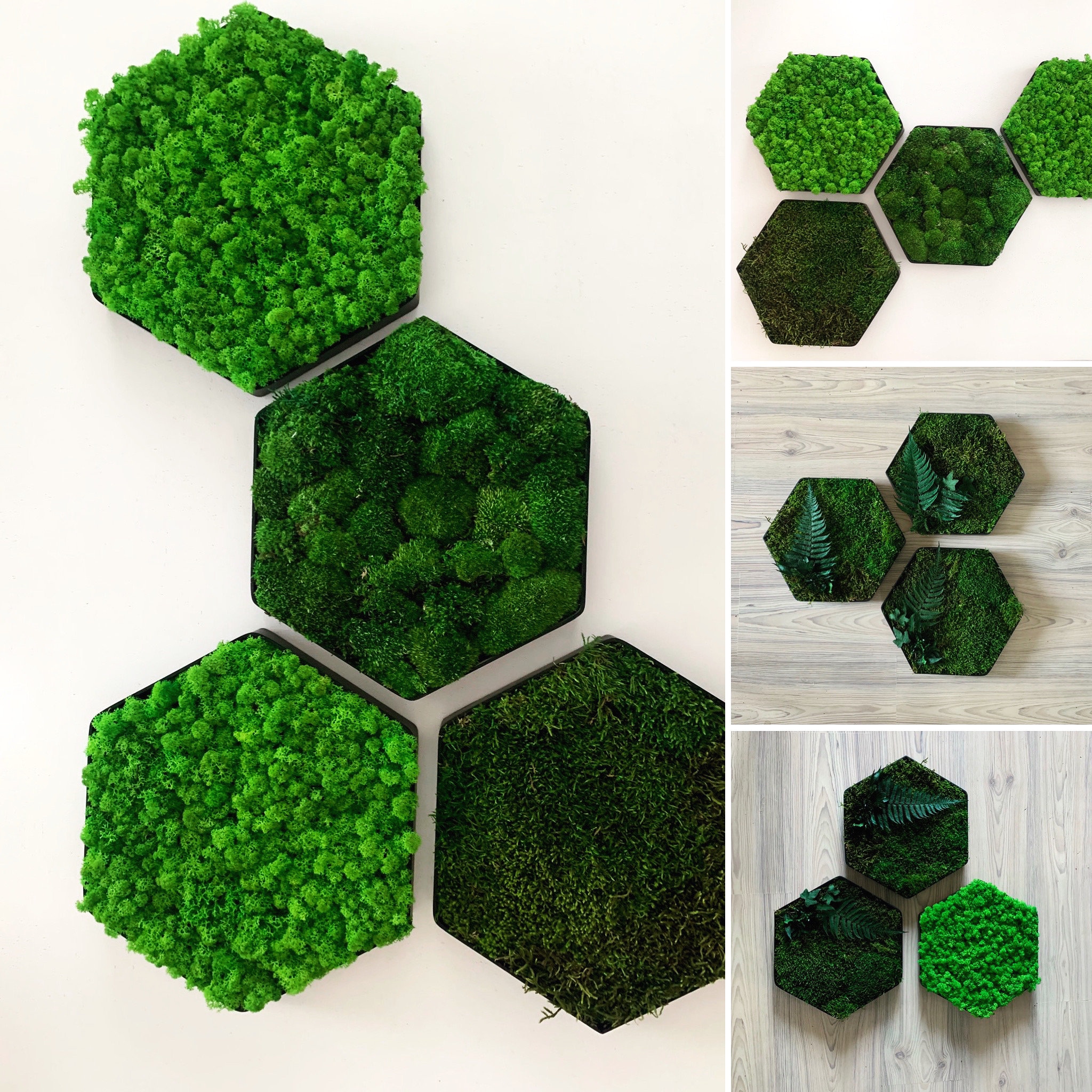 Moss Honeycomb Decor, Hexagon Wall Art, Hexagon Wall Art, Moss