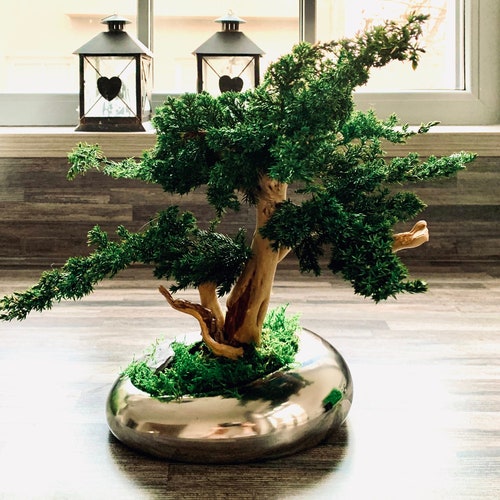 Bonsai Tree in Square Pot Artificial Plant Indoor Decoration Etsy