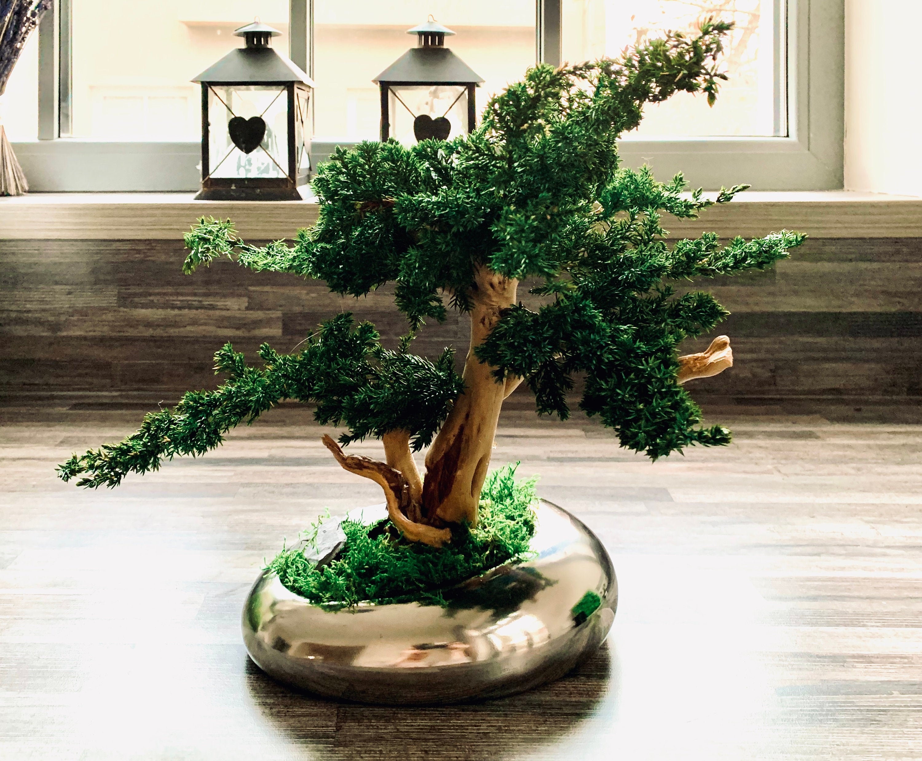 Artificial bonsai tree -  Italia