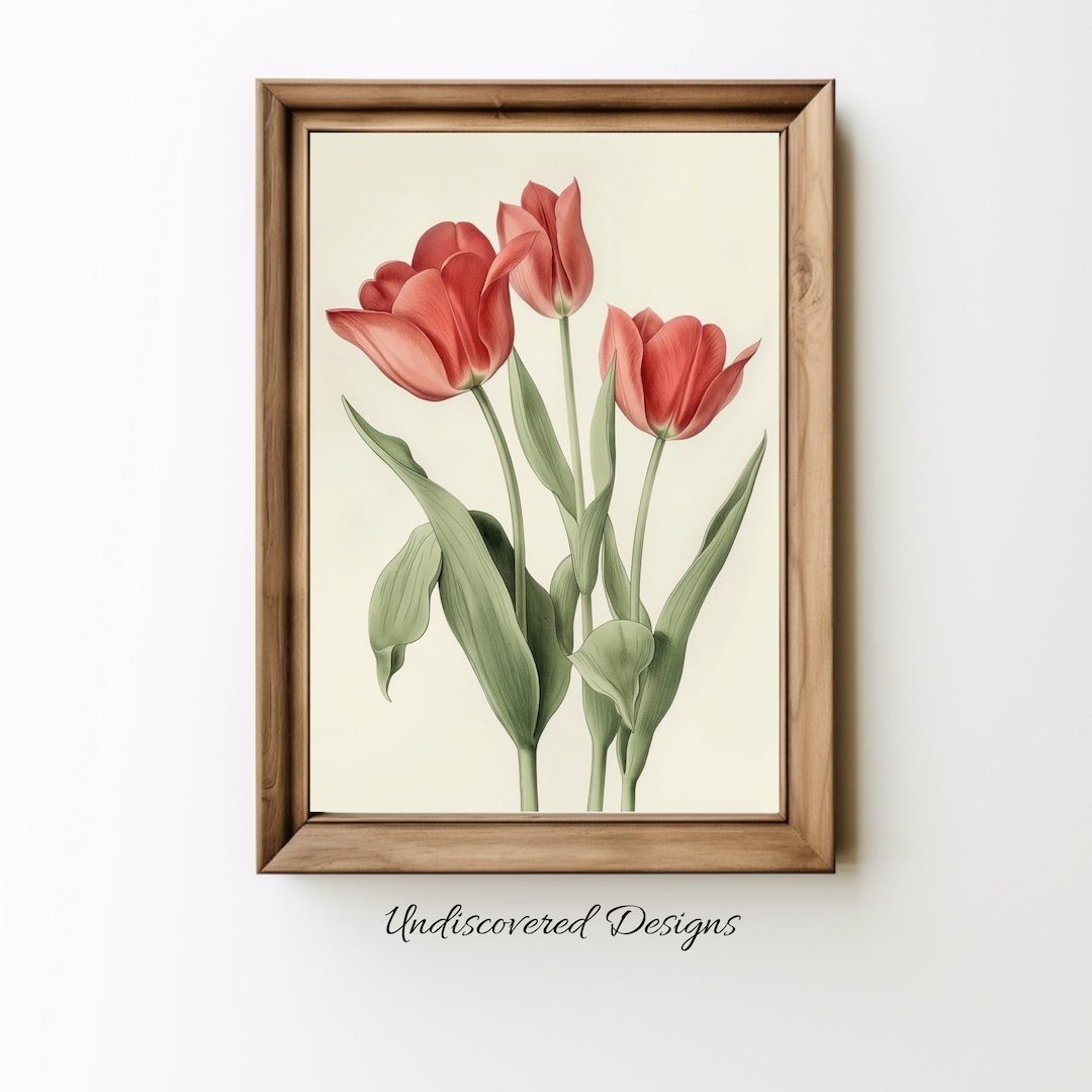 Vintage Tulip Botanical Print: Elegant Floral Wall Art (digital ...