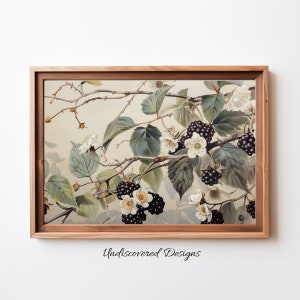 Vintage Blackberry Still Life Art Print: Botanical Wall Decor (Digital Download)