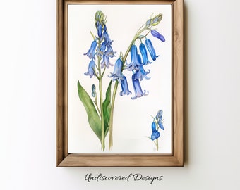 Bluebell Flower Print: Vintage Botanical Wall Art (Digital Download)