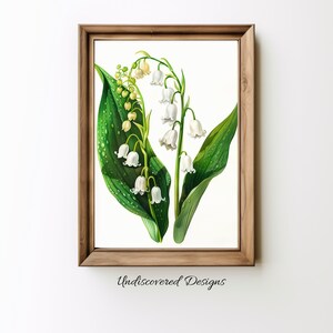 Lily of the Valley Printable Botanical Art Printout Printable Wall Art Vintage Art Prints Digital Art Print Digital Prints