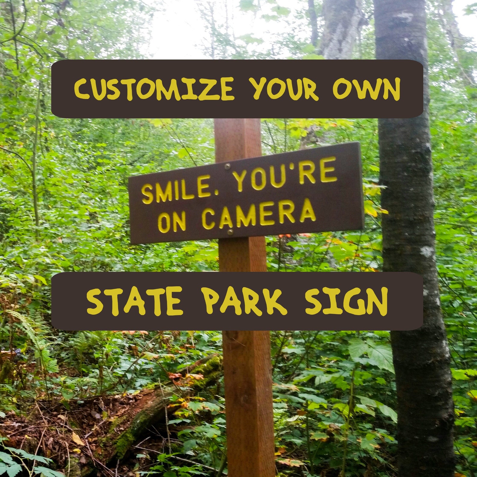 Custom State Park Trail Sign 2-1/4 Standard | Etsy