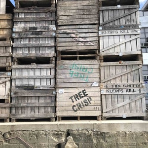 May include: A stack of wooden crates with the text "KLEIN'S KILL 2015" and "TREE CRISP" printed on them. The crates are stacked against a concrete wall.