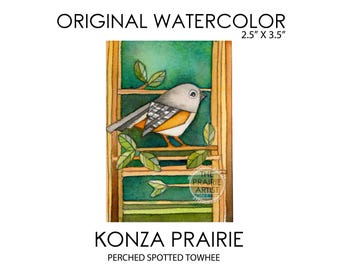 Original Mini ACEO Watercolor Spotted Towhee Bird, Flint Hills Kansas, Konza Prairie Wildlife, Small Painting 2 1/2 x 3 1/2 Art of Plains