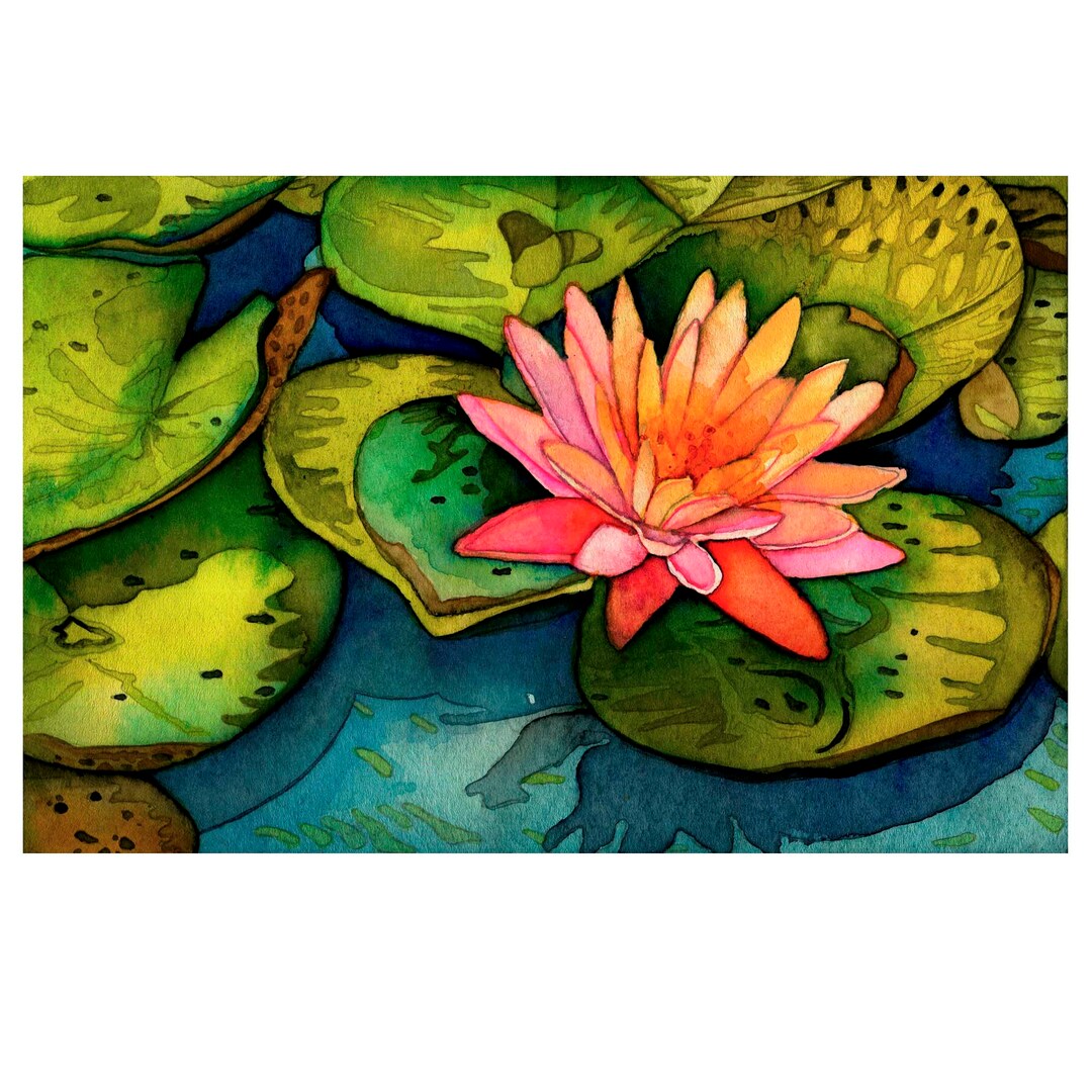 Pink Water Lily Lotus Flower Art Print, Powell Gardens Watercolor ...