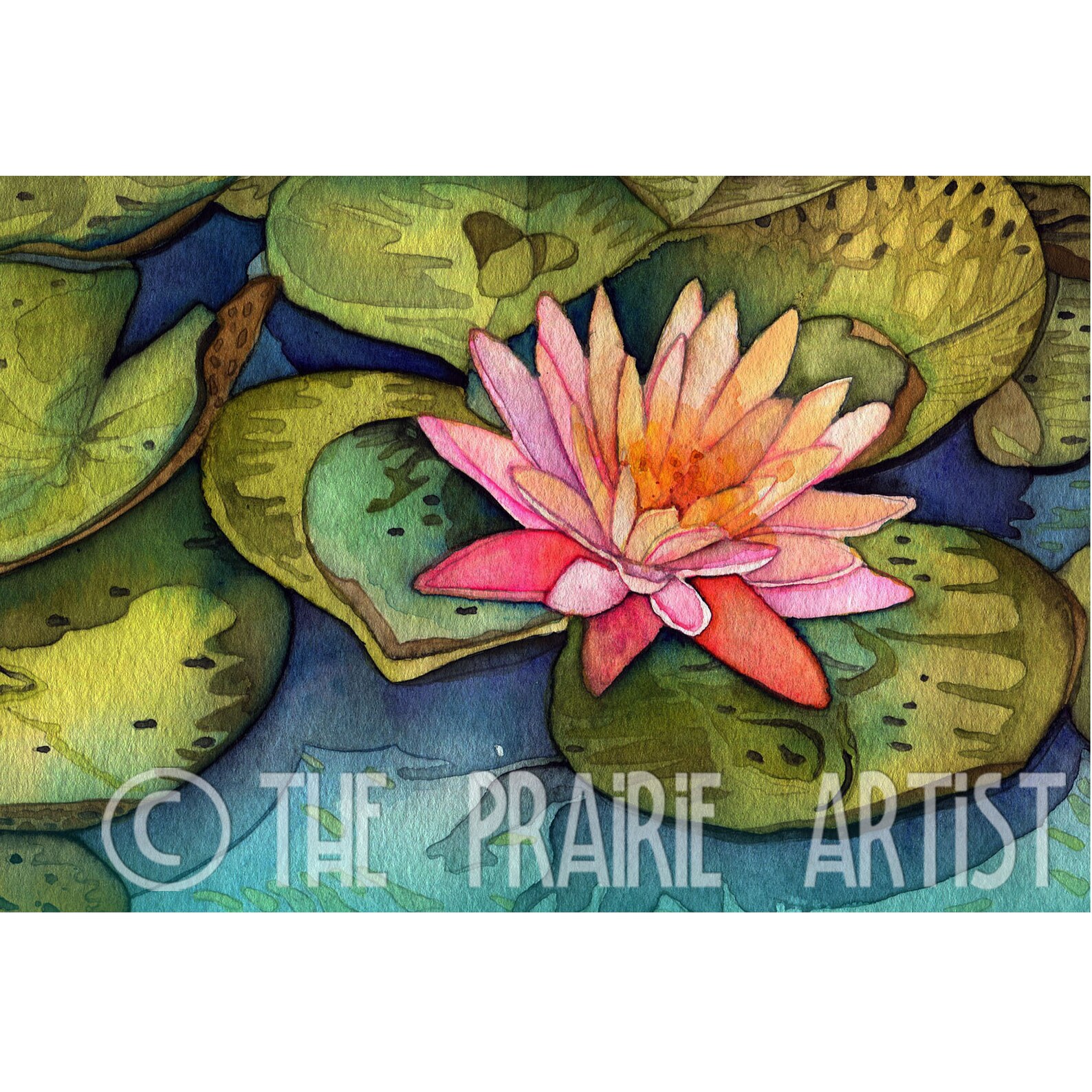 Water Lily Art Print Powell Gardens Watercolor Nature Etsy