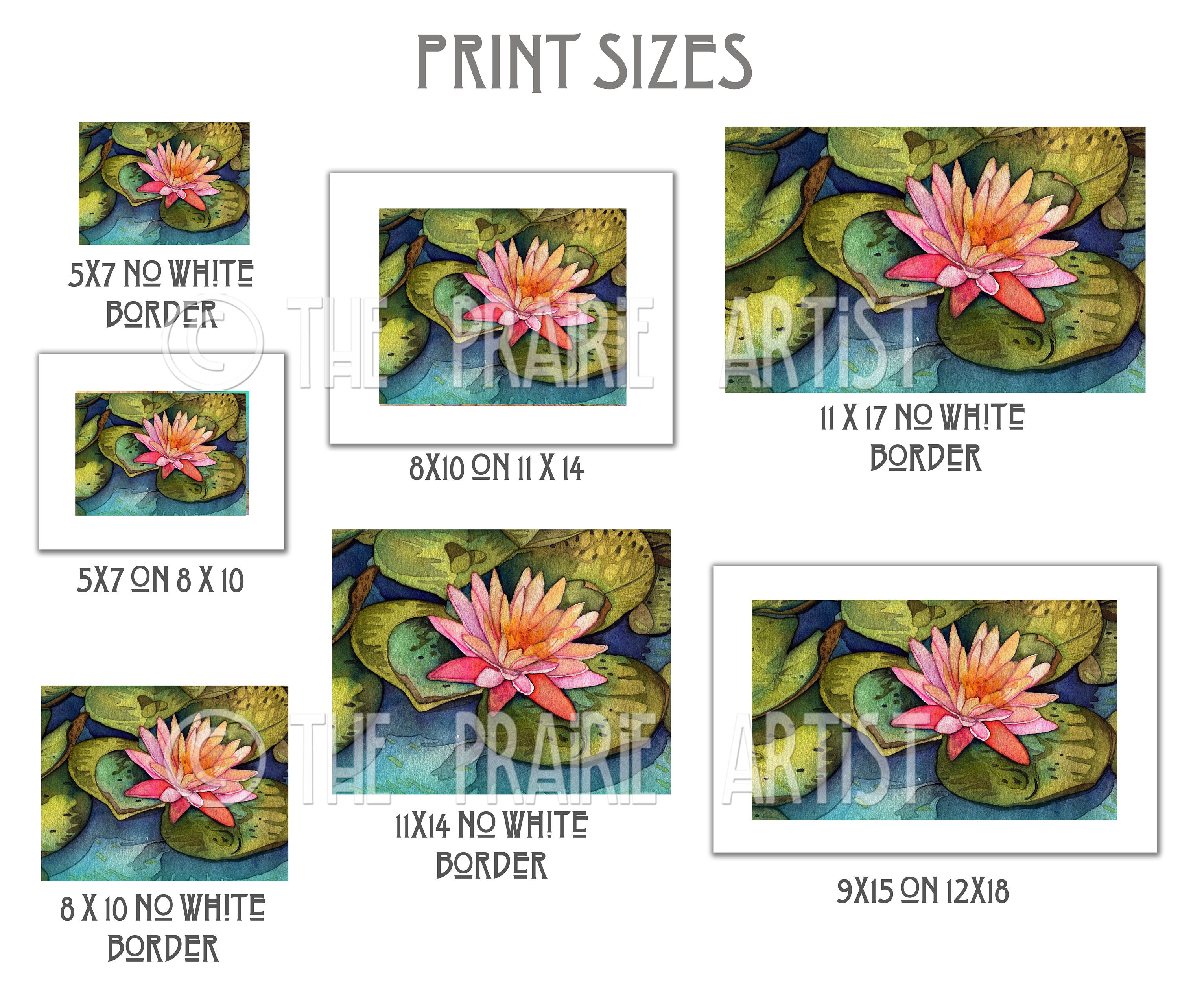 Water Lily Art Print Powell Gardens Watercolor Nature Etsy