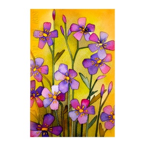 Purple Prairie Phlox Watercolor Art Print, Wisconsin Spring Flowers, Buds and Blooming Phlox Artwork, Gardener Gift