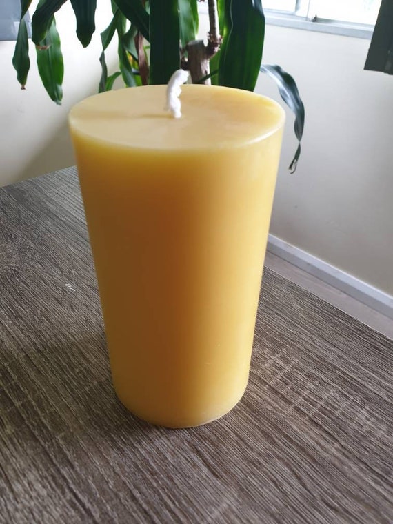 Velas de cera de abejas, votivas de 10 horas (paquete de 12) 100% cera de  abeja de EE. UU