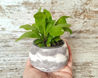 Mini pot, marble effect pot, small pot, minimalist decoration, round pot cover, interior pot, succulent pot.