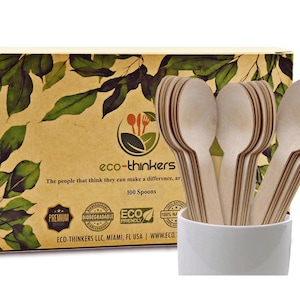 ECOTHINKERS Disposable Wooden Cutlery Set 100 pieces | 100% Eco Friendly Biodegradable Utensils Wooden Utensils  Wooden Spoons