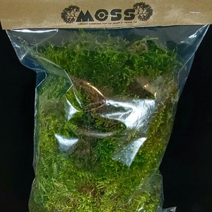 Moss Pacific North West Moss