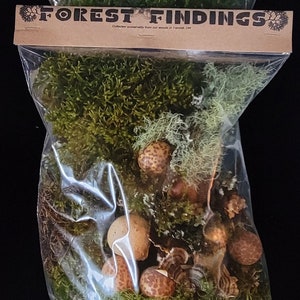 May include: Two clear plastic bags filled with forest elements. The top bag reads "MOSS" and the bottom bag reads "FOREST FINDINGS". The bags contain green moss, mushrooms, and other natural items. The text "Collected sustainably from our woods in Yamhill, OR" is also visible.