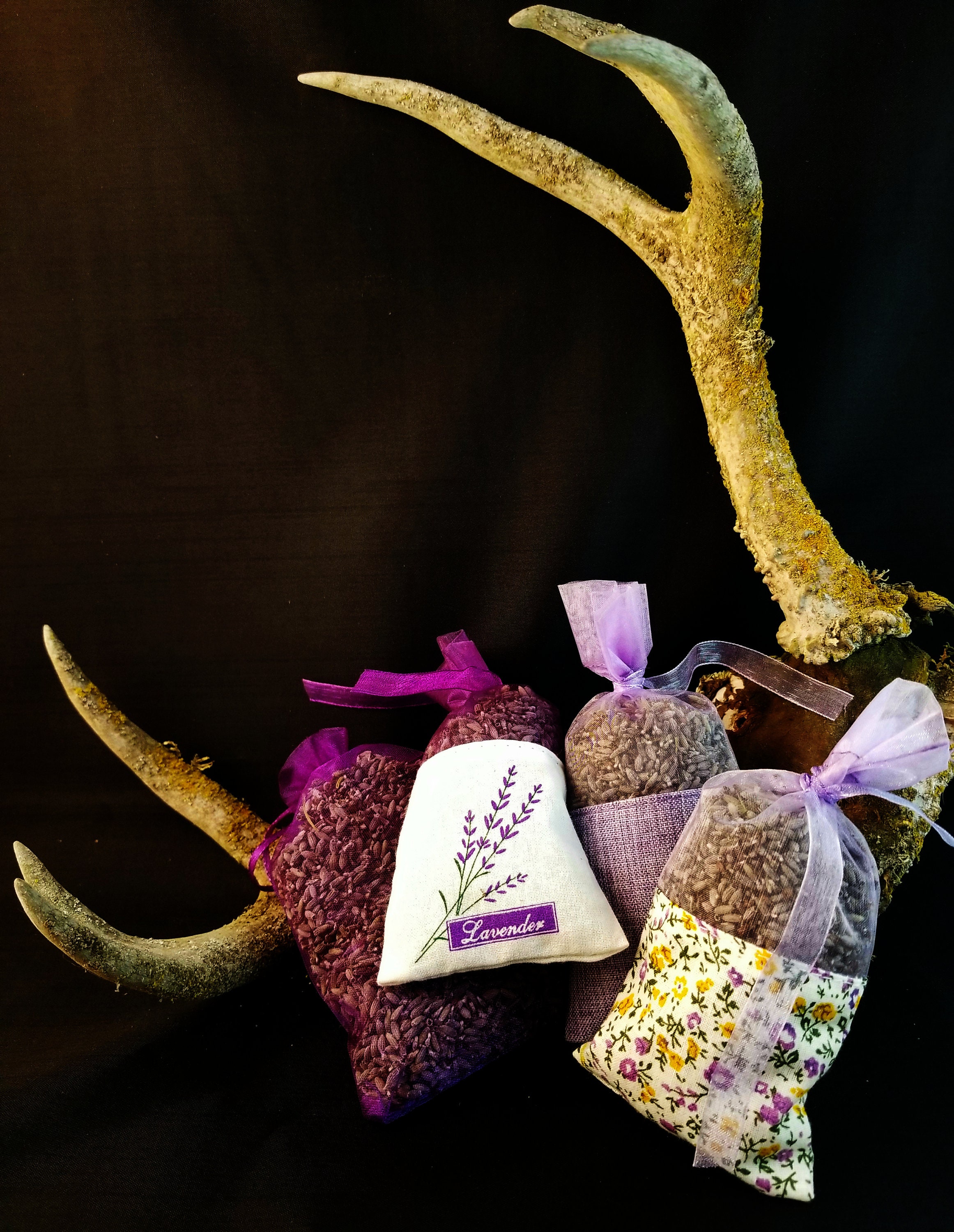 Bulk Dried Lavender Buds Etsy UK