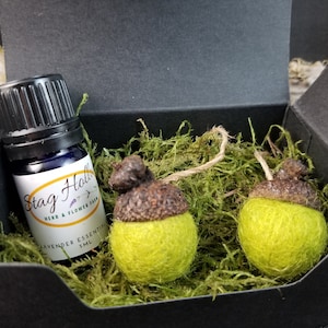 May include: A small black box with a green moss lining contains two felt acorn ornaments and a small bottle of lavender essential oil labeled "Stag Hollow Herb & Flower Farm".