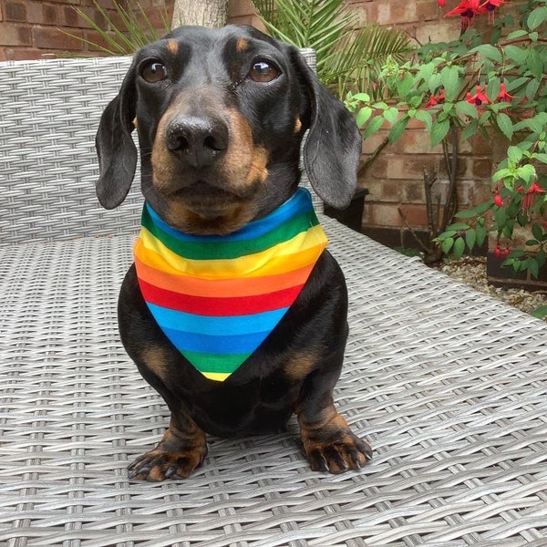 Handmade 100% Cotton Reversible Dog Bandana For Smaller Dogs/Cats - Assorted Designs