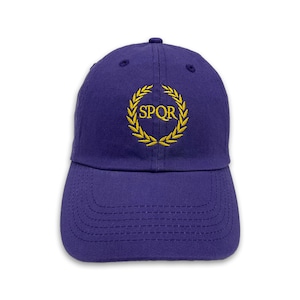 EMBROIDERED HAT Camp Jupiter Percy Jackson Baseball Cap Unstructured Adult Unisex cap