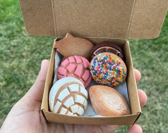 Pan dulce box Magnete- 6 tlg