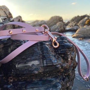 1/2" All Hardware, Vegan Leather Dog Leash, Rose Gold, Water-resistant, All Weather Leash, Christmas Gift, Dog Gift, Custom, Biothane