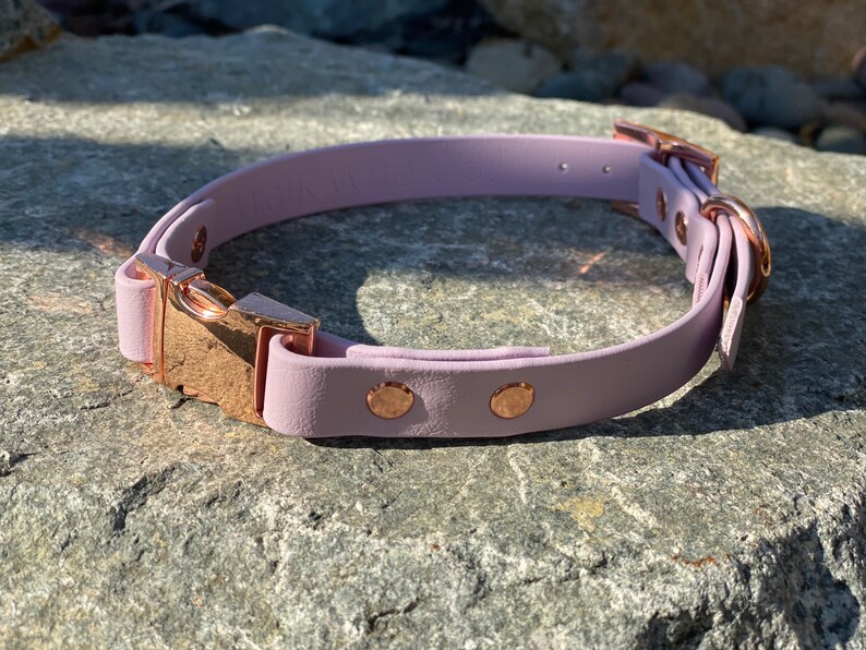 5/8 All Hardware Vegan Leather Dog Collar Adjustable Etsy
