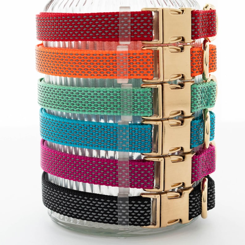 Personalized Engraved Dog Collar: Reflective Nylon Webbing, Custom Pet ...