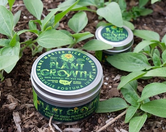 Plant Growth | Soy Candle | Geek Gift | RPG | Gamer | DND | Tomato Leaf | Garden Candle | Druid Spells | 20oz | 8oz | 2oz | Wax Melts