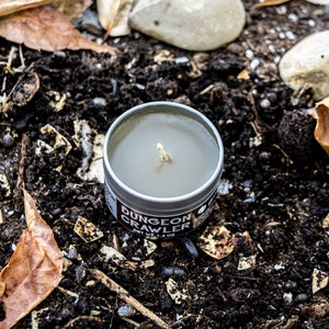 May include: A small, silver tin candle with a gray wax and a single wick. The candle is labeled "Dungeon Crawler" with a net weight of 1.4 oz. The candle is sitting on a bed of dirt and leaves.