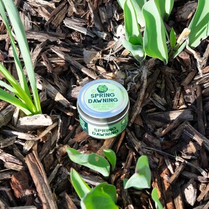 May include: A small, silver tin with a green lid. The lid has a green four-leaf clover design and the text "SPRING DAWNING" in white. The tin is sitting on a bed of brown wood chips.