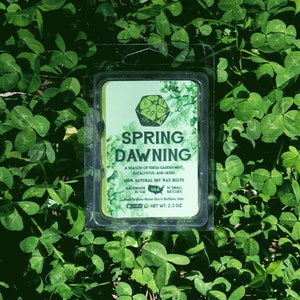 May include: A green soy wax melt in a clear plastic container with a label that reads "Spring Dawning" and describes the scent as a "season of fresh garden mint, eucalyptus and herbs". The label also states that the wax melt is 100% natural soy wax, handmade in small batches, and has a net weight of 2.3 oz.