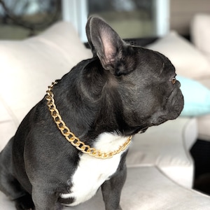 custom dog chains
