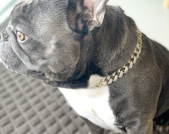 Iced out dog clearance collar