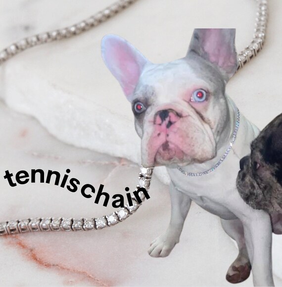 Dog chain cheap collar silver