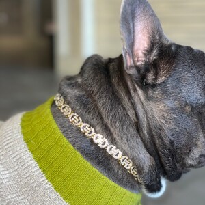 iced out dog collars