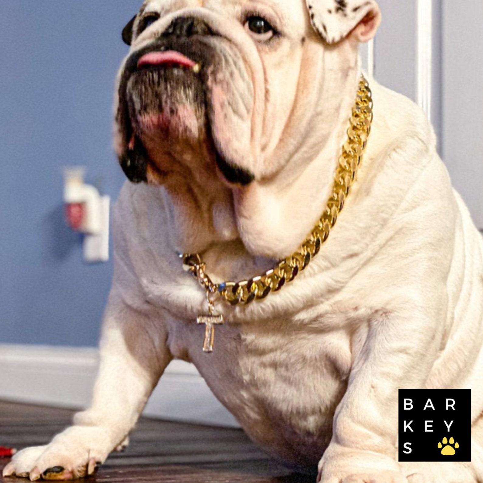 Cuban Link Dog Chain, Custom Dog Chain, Handmade Dog Collar, Dog Gift