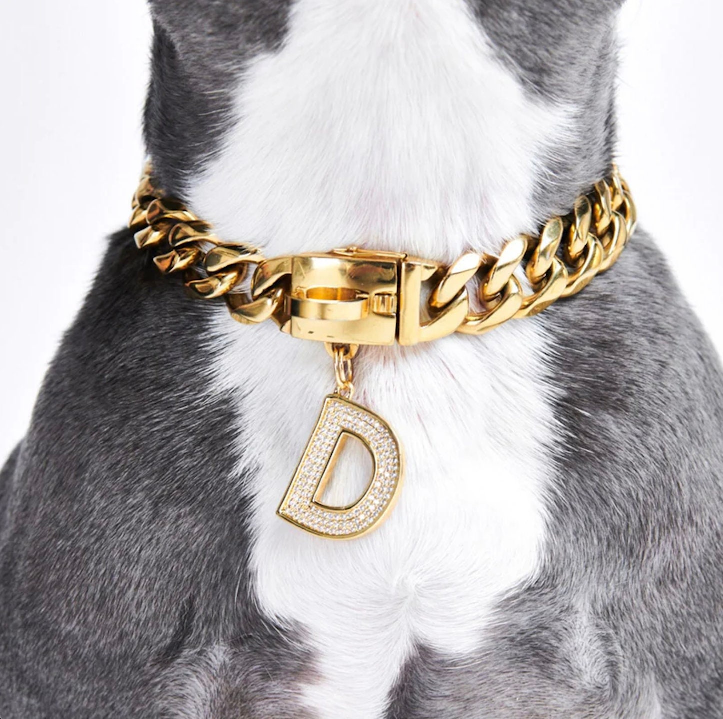 Gold Initial Letter Jewelry Tag for Dogs - T – SPARK PAWS
