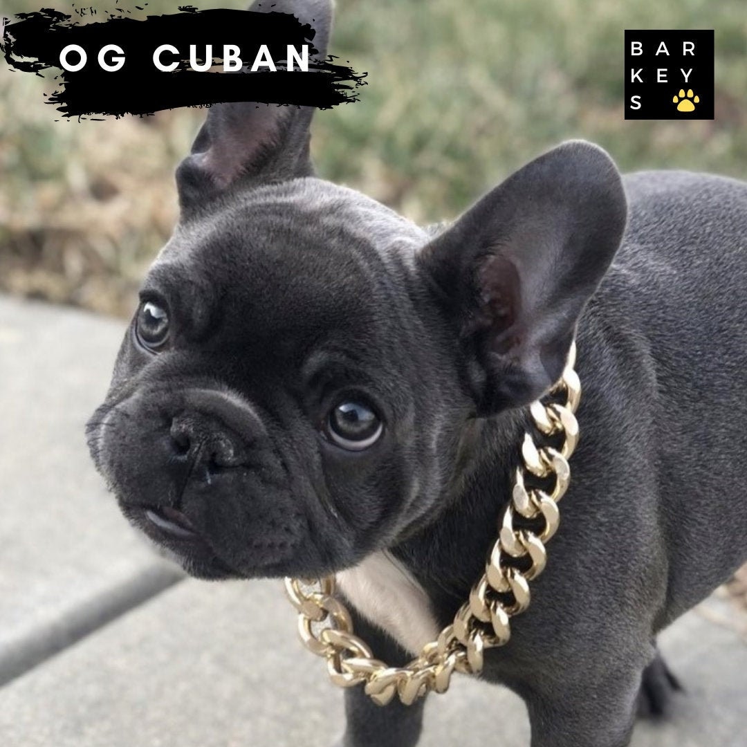 coco chanel dog collars for small dogs