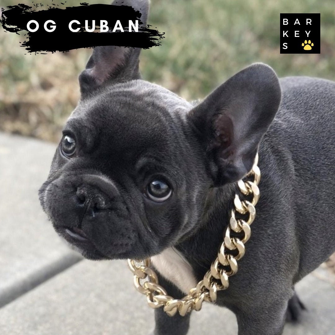 LuxLife Dog Chain Collar Designer Luxury Dog Collar Gold with CZ Buckle 19mm Cuban Link Dog Chain Metal Dog Collars for Puppy Small Medium Large