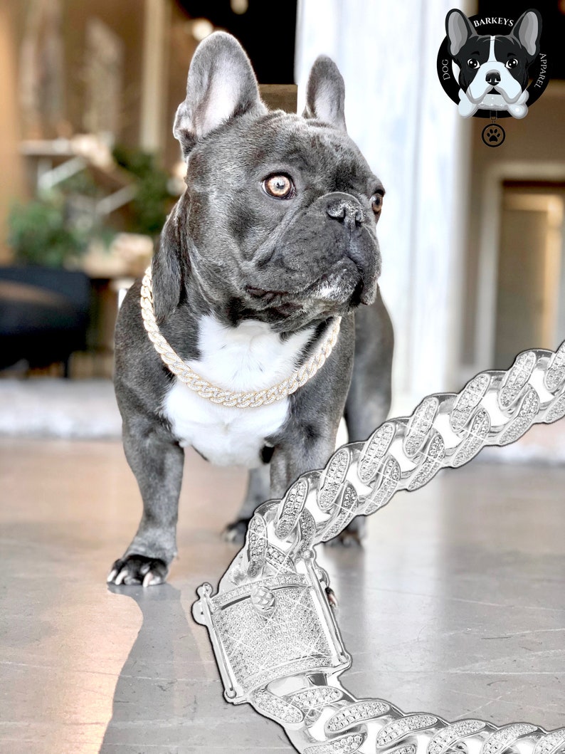Silver iced out cuban link dog chain/ collar Custom dog ...