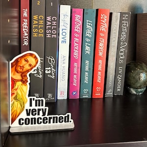 Peeking Jesus, Funny Bookshelf Sign, Gifts for book lovers, Romantasy Gifts, Booktok, Gifts for Smut Readers, Bookshelf signs, Book Merch