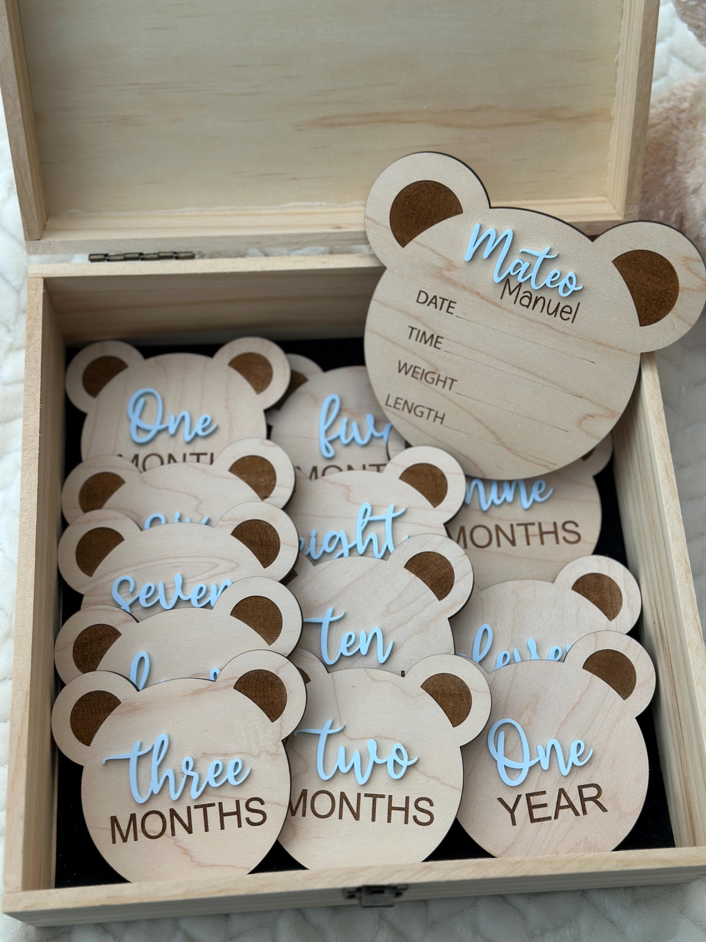 Teddy Bear Monthly Milestone, Baby Photo Signs, Baby Photo Prop ...