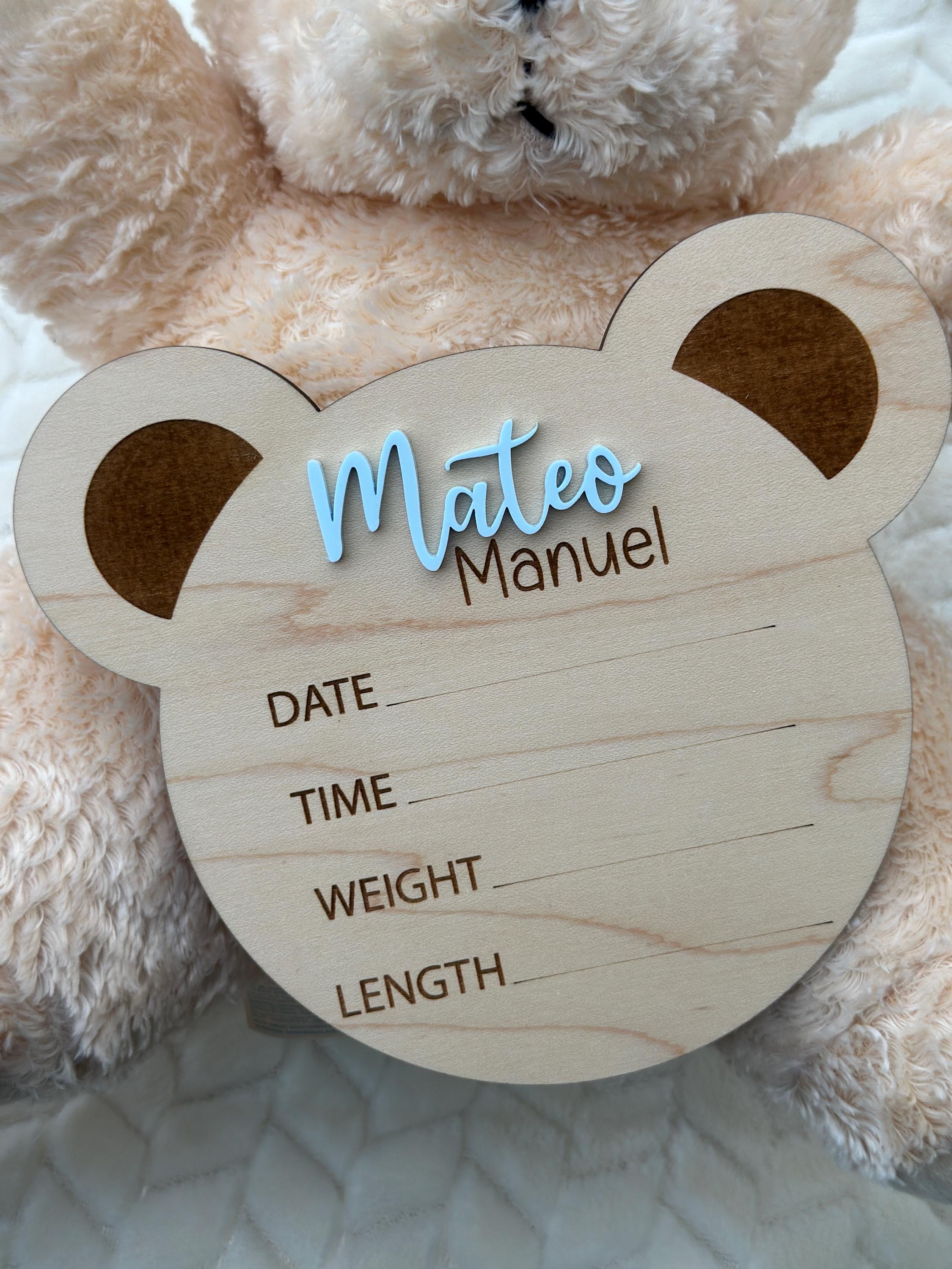 Teddy Bear Monthly Milestone, Baby Photo Signs, Baby Photo Prop ...