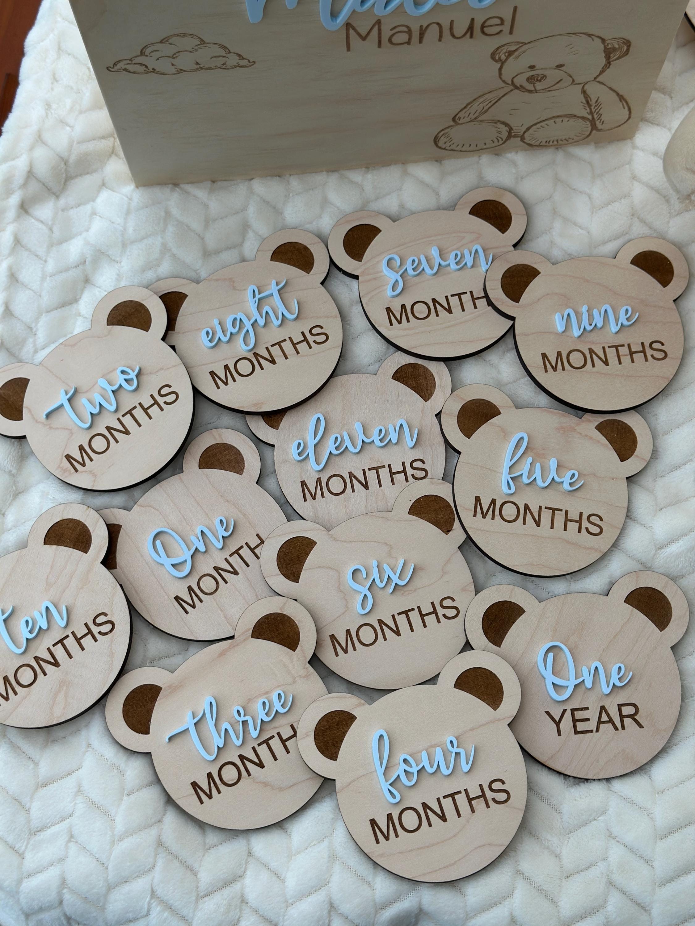 Teddy Bear Monthly Milestone, Baby Photo Signs, Baby Photo Prop ...